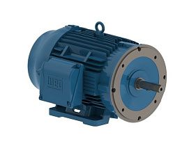 WEG Electric 05036ET3E326JM-W22