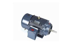 Marathon Electric GT3124