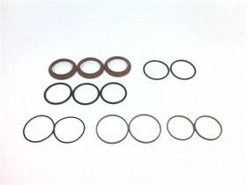 CLR-0131-264 Уплотнение от ROEMHELD