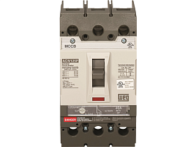 WEG Electric ACW125P-FTU20-3