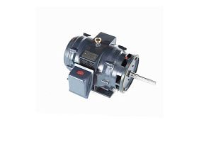 Marathon Electric GT2531