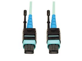 Tripp-Lite N846-10M-24-P