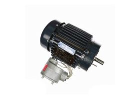 Marathon Electric 143TTGN14011