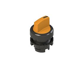 Pizzato E2 1SL13FCH81AB