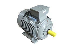 Siemens 1LE10231BA234GB4-Z