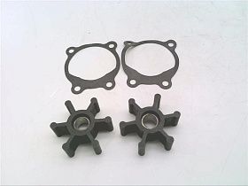 PPIK-1S Комплект уплотнений/прокладок от LITTLE GIANT PUMP