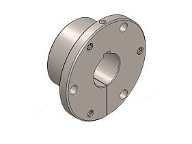 Maurey Power Transmission SF10014W5/16