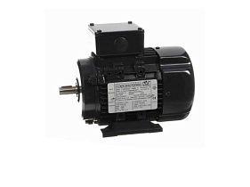 Marathon Electric R309