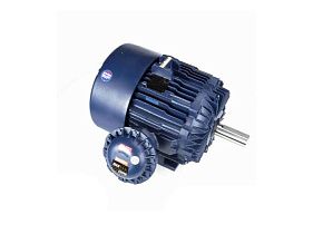 Marathon Electric 444TTGN16532