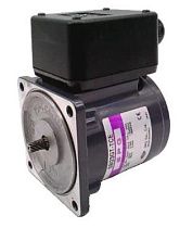 Мотор индукционный SPG S8I25GT-T