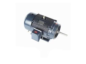 Marathon Electric GT3536