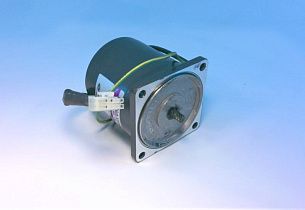 Двигатель индукционный SPG S8I25GA-V12CE, 25Вт, 110В, 60Гц