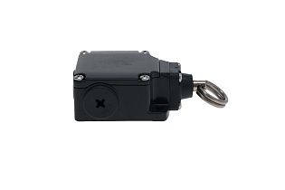 Концевой выключатель FL 576-T6 от PIZZATO