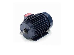 Marathon Electric 145TTFN16045