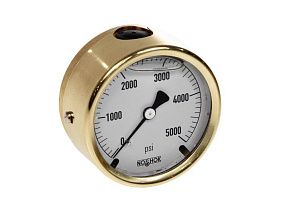 NOSHOK 25-310-SST-5000-psi