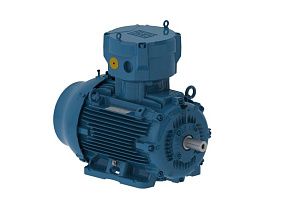 WEG Electric E16036XP3YAX315SMF3W