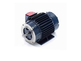 Marathon Electric 145THTN8037