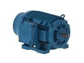 WEG Electric 12515EP3OFP444TS-W22