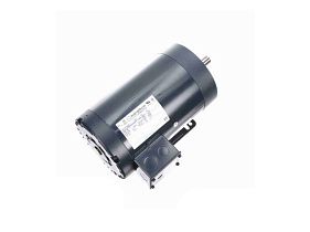 Marathon Electric 145TTDR16366