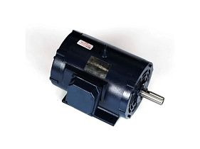 Marathon Electric U290