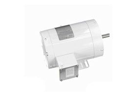 Marathon Electric N601