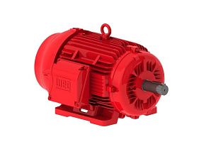 WEG Electric 03015EP3OFP286TS-W22