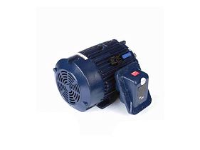 Marathon Electric 286TTGN16577