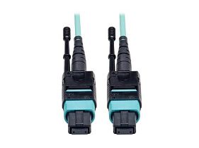 Tripp-Lite N844-10M-12-P