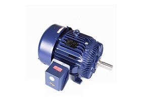 Marathon Electric W573