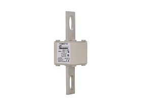 Bussmann 170M4719