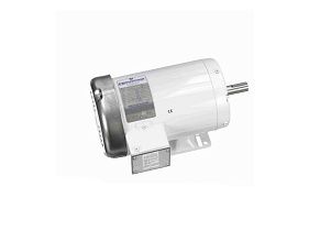 Marathon Electric N312A