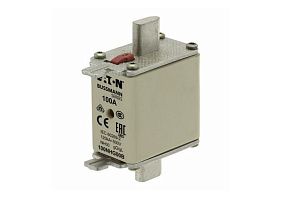 Bussmann 100NHG00B