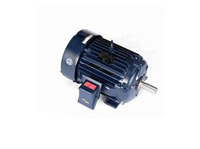 Marathon Electric 286THFNA19066