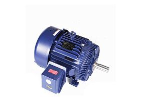 Marathon Electric W562