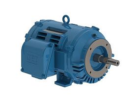 WEG Electric 02536OT3E256JM-W40