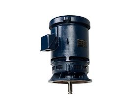 Marathon Electric 215TTDWD16350