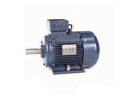 Marathon Electric R336A