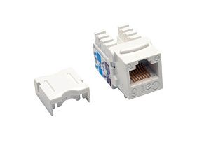 Tripp-Lite N238-025-WH