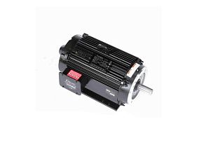 Marathon Electric Y547