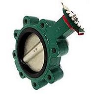 Затвор поворотный MUELLER STEAM 66M-ANI-6-1 чугунный, EPDM