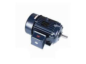 Marathon Electric E208-P