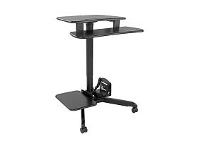 Tripp-Lite WWSSRDSTC