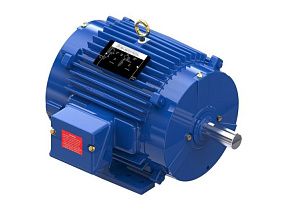 Marathon Electric 215TTTS17077