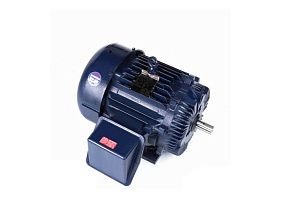 Marathon Electric E226