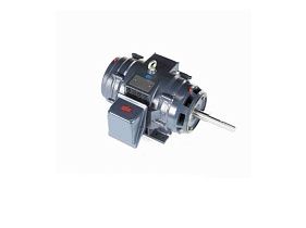 Marathon Electric GT2525