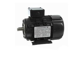 Marathon Electric R368