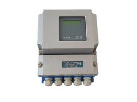 Bailey, Fisher & Porter 50XM21AAA