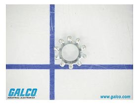 Motor City Fastener 10NETWZ