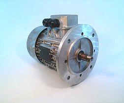 16053746004004 Мотор от NERI MOTORI