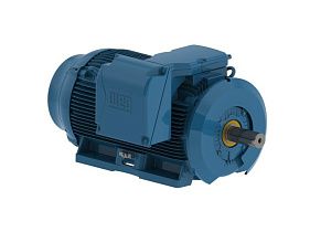 WEG Electric 50012ET3H586/7-W22